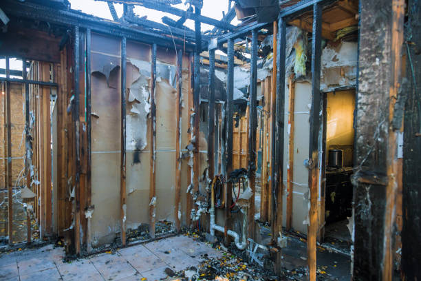 Professional Smoke Damage Removal technician working in Kimball, MN